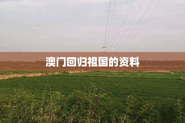 **回归祖国的资料
