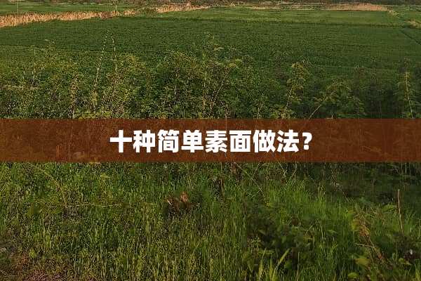 十种简单素面做法？