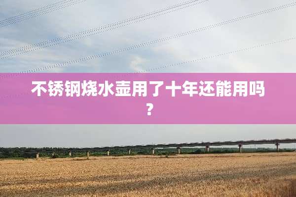 不锈钢烧水壶用了十年还能用吗？