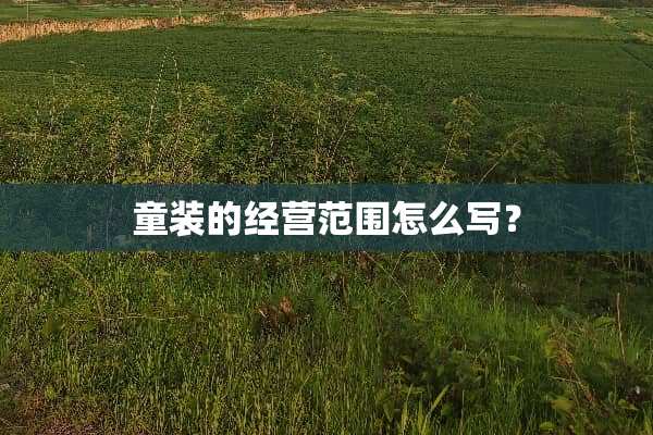 童装的经营范围怎么写？