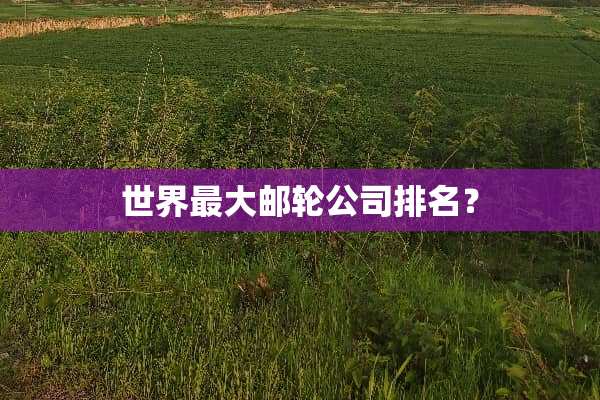 世界最大邮**司排名？