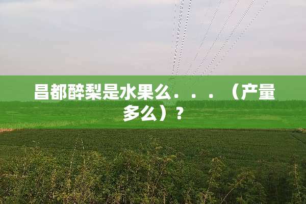 昌都醉梨是水果么．．．（产量多么）？