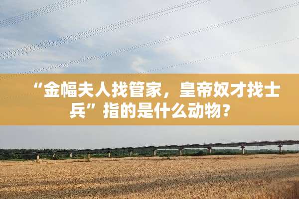 “金幅夫人找管家，皇帝*才找士兵”指的是什么动物？