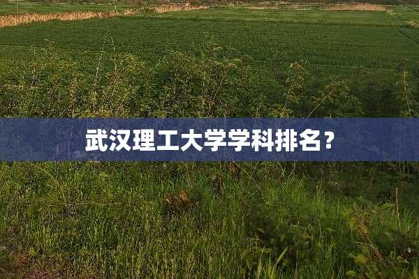 武汉理工大学学科排名？
