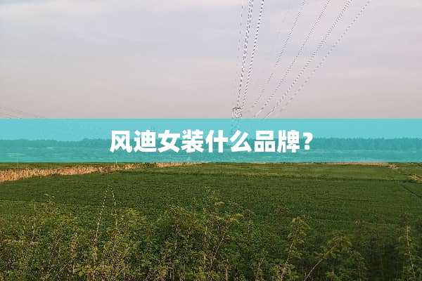 风迪女装什么品牌？