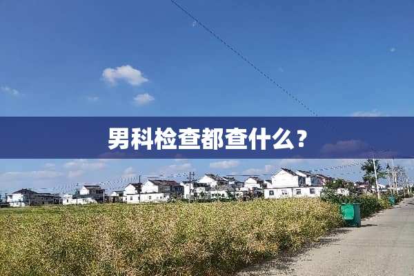 男科检查都查什么？
