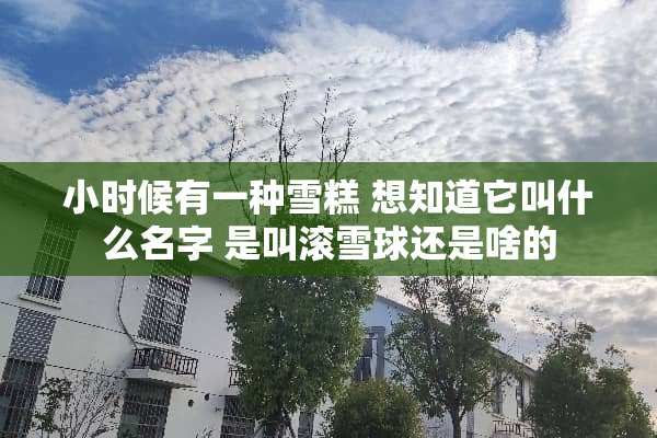 小时候有一种雪糕 想知道它叫什么名字 是叫滚雪球还是啥的