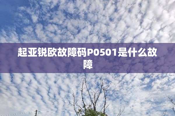 起亚锐欧故障码P0501是什么故障