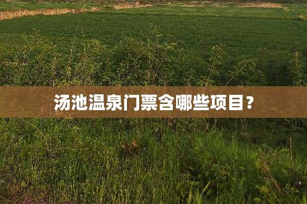 汤池温泉门票含哪些项目？