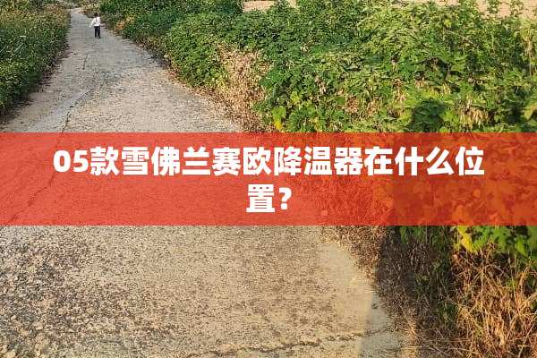 05款雪佛兰赛欧降温器在什么位置？