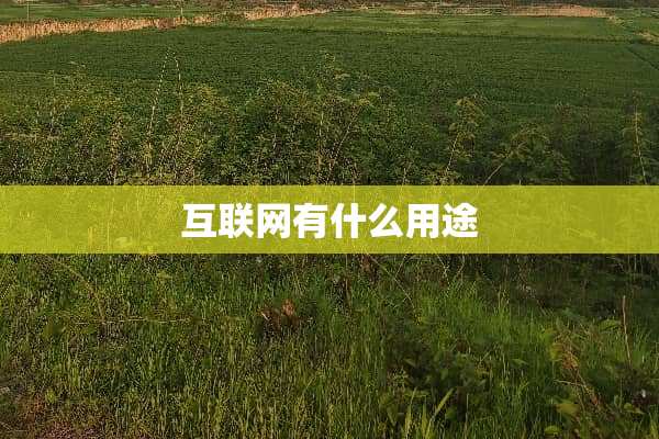 互联网有什么用途