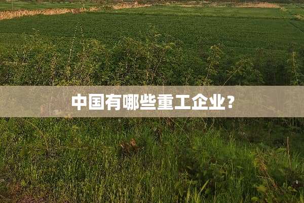 中国有哪些重工企业？