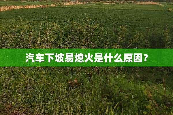 汽车下坡易熄火是什么原因？