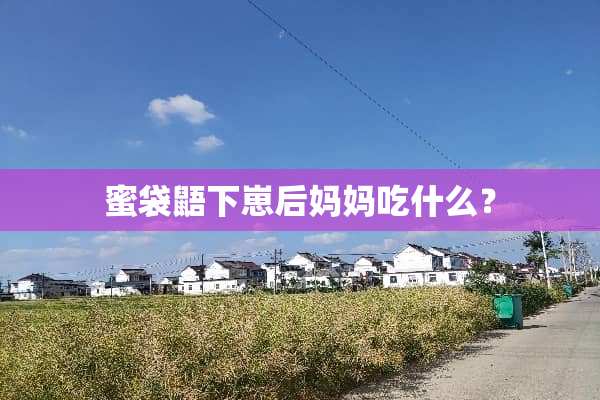 蜜袋鼯下崽后妈妈吃什么？