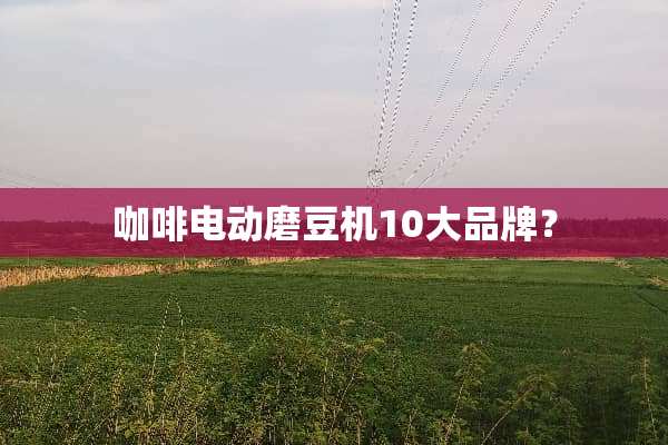 咖啡电动磨豆机10大品牌？