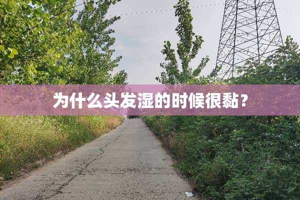 为什么头发湿的时候很黏？