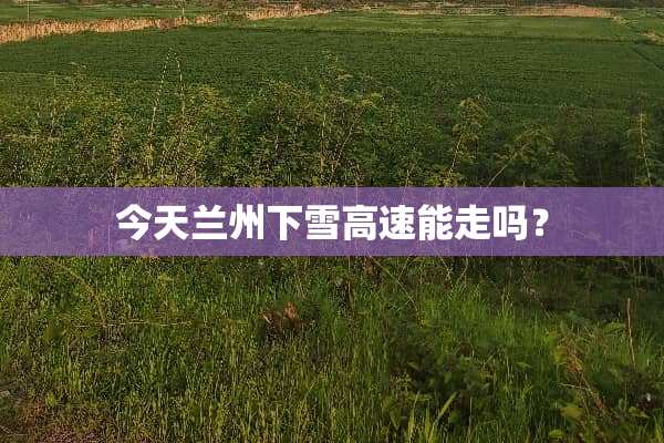 今天兰州下雪高速能走吗？