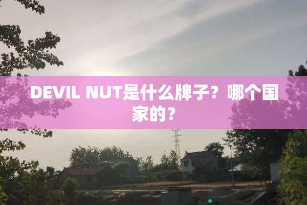 DEVIL NUT是什么牌子？哪个国家的？