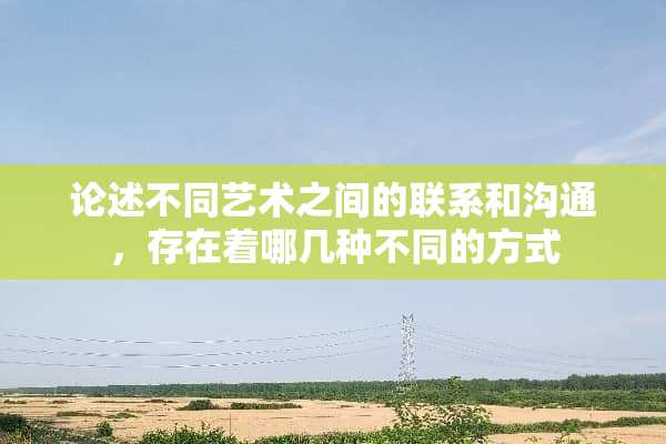 论述不同艺术之间的联系和沟通，存在着哪几种不同的方式