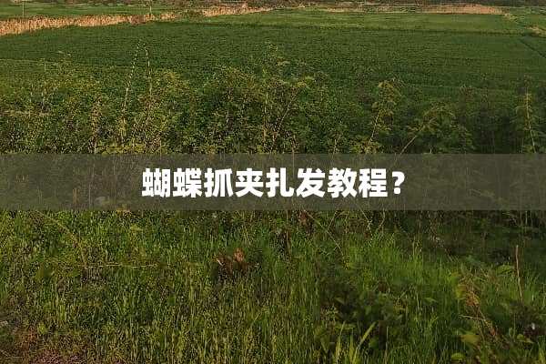 蝴蝶抓夹扎发教程？