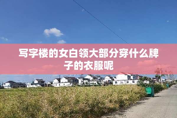 写字楼的女白领大部分穿什么牌子的衣服呢