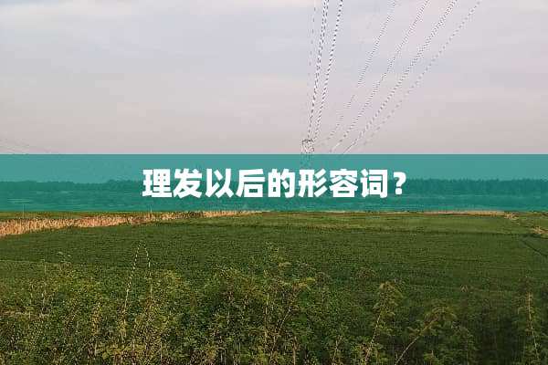 理发以后的形容词？