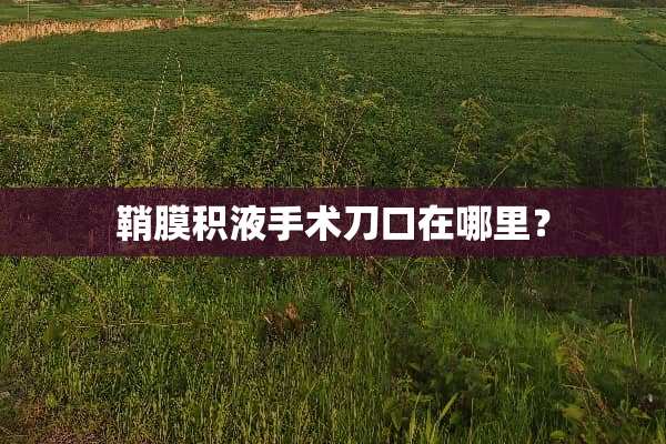 鞘膜积液手术刀口在哪里？