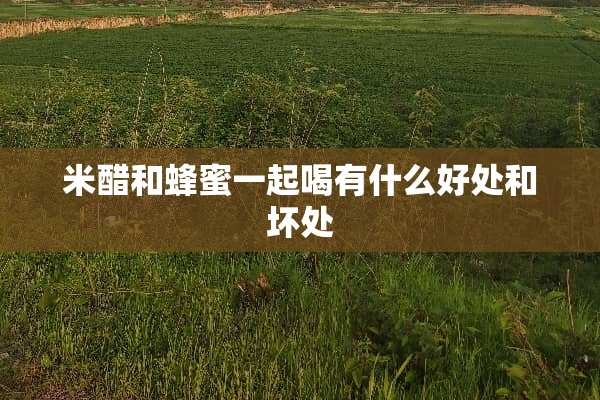 米醋和蜂蜜一起喝有什么好处和坏处