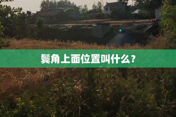 鬓角上面位置叫什么？