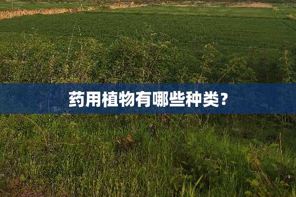 药用植物有哪些种类？