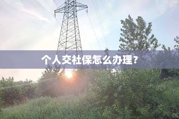 个人交社保怎么办理？