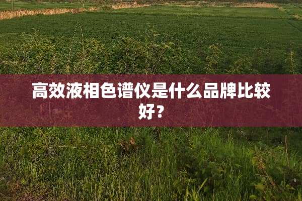 高效液相色谱仪是什么品牌比较好？