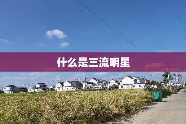 什么是三流明星