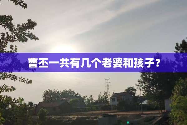 曹丕一共有几个老婆和孩子？