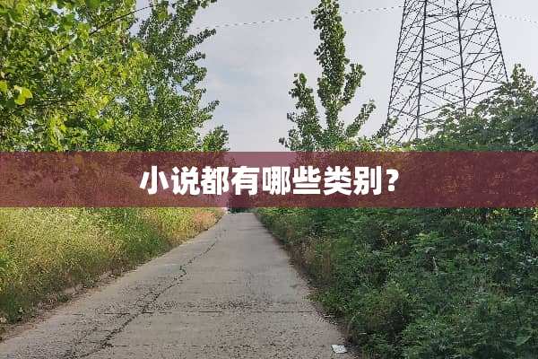 小说都有哪些类别？