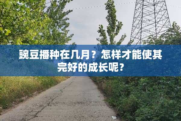 豌豆播种在几月？怎样才能使其完好的成长呢？