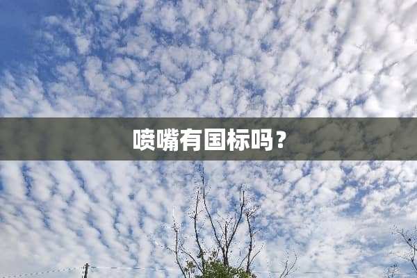 喷嘴有国标吗？