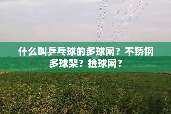 什么叫乒乓球的多球网？不锈钢多球架？捡球网？