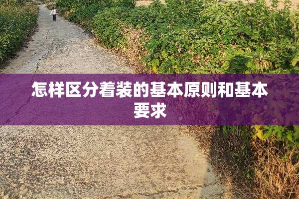 怎样区分着装的基本原则和基本要求