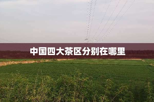 中国四大茶区分别在哪里