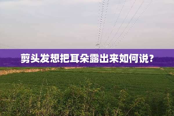 剪头发想把耳朵露出来如何说？