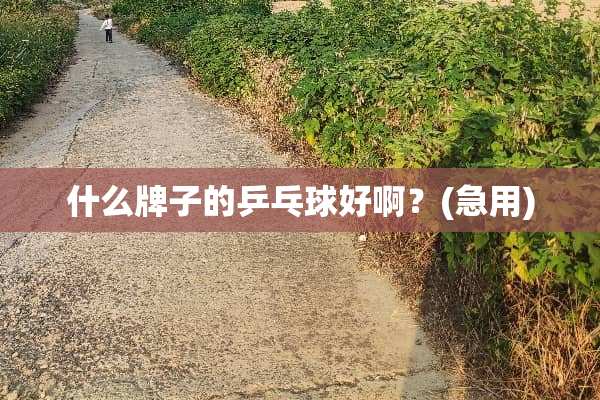 什么牌子的乒乓球好啊？(急用)