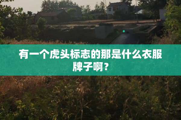 有一个**标志的那是什么衣服牌子啊？