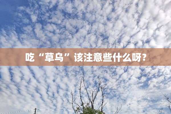 吃“草乌”该注意些什么呀？