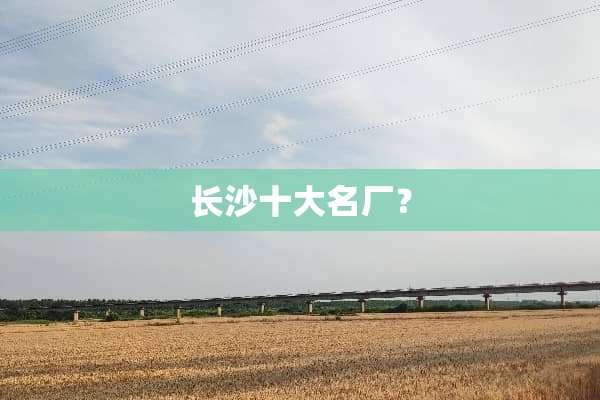 长沙十大名厂？
