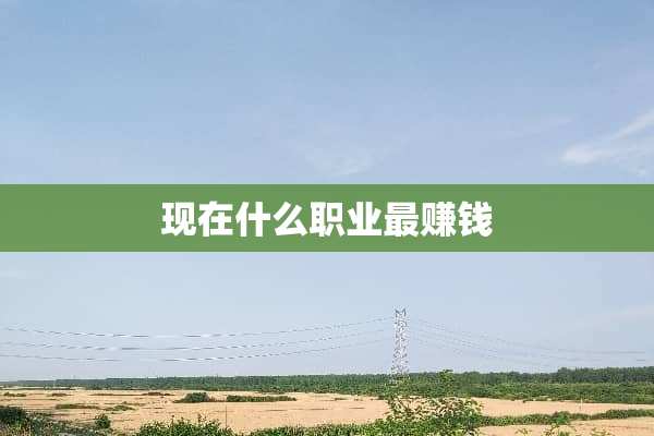 现在什么职业最赚钱