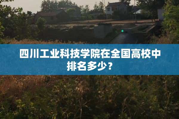 四川工业科技学院在全国高校中排名多少？