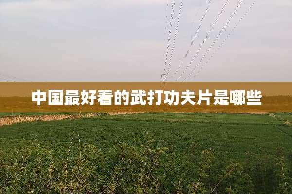 中国最好看的武打功夫片是哪些