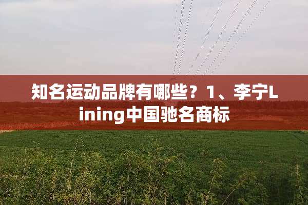 知名运动品牌有哪些？1、李宁Lining中国驰名商标