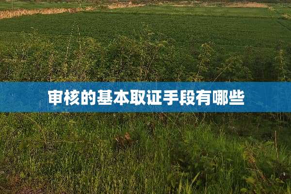 审核的基本取证手段有哪些